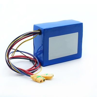 SGS 13s 48v 24Ah 21700 Ли-полимерный аккумуляторный пакет BIS MSDS IEC62133 Rohs